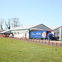 ballygarveycontact