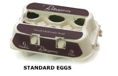 economypack