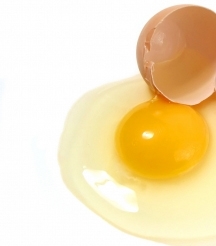 eggbroke