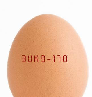 eggshadow