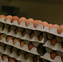 eggstore